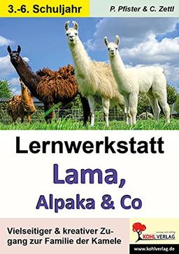 Lernwerkstatt Lama, Alpaka & Co: Vielseitiger & kreativer Zugang zur Familie der Kamele