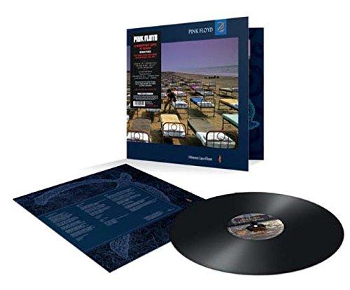 A Momentary Lapse Of Reason(20 [Vinyl LP]