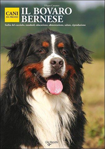 Il bovaro bernese (Cani da premio)