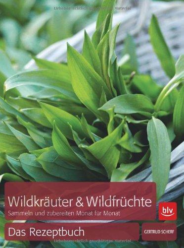 Wildkräuter & Wildfrüchte - das Rezeptbuch: Sammeln und zubereiten Monat für Monat