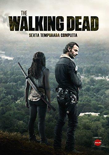 The Walking Dead (THE WALKING DEAD: TEMPORADA 6, Spanien Import, siehe Details für Sprachen)