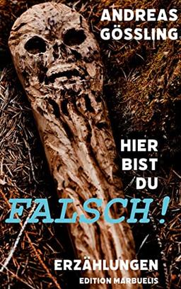 Hier bist du falsch!: Erzählungen (Edition Marbuelis)