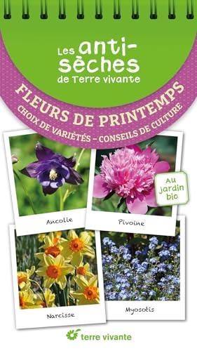 Fleurs de printemps : choix de variétés, conseils de culture : au jardin bio