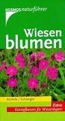 Wiesenblumen