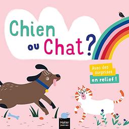 Chien ou chat ?