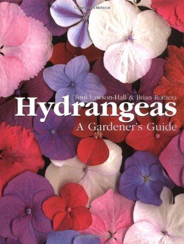 Hydrangeas: A Gardener's Guide