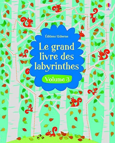 Le grand livre des labyrinthes. Vol. 3