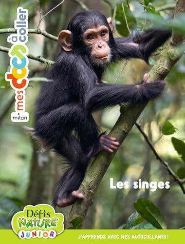 Bioviva : Les singes