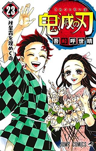 Devil's Blade 23 ( Demon Slayer: Kimetsu no Yaiba, Band 23)