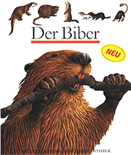 Der Biber