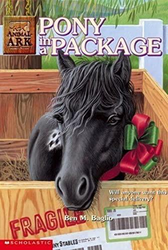 Pony in a Package (Animal Ark Series)