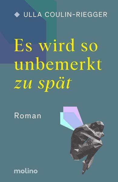 Es wird so unbemerkt zu spät: Roman