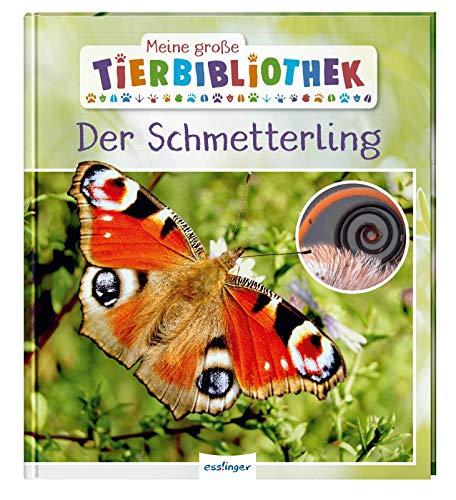 Der Schmetterling (Meine große Tierbibliothek)