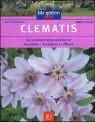 Clematis: Die schönsten Arten und Sorten · Auswählen · Kombinieren · Pflegen