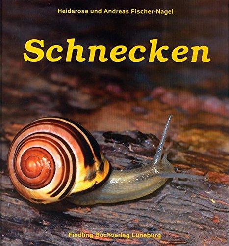 Schnecken