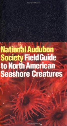 National Audubon Society Field Guide to North American Seashore Creatures (National Audubon Society Field Guides)