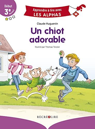 Un chiot adorable : début 3e Harmos