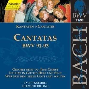 Edition Bachakademie Vol. 29 (Kantaten BWV 91-93)