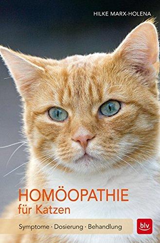 Homöopathie für Katzen: Symptome · Dosierung · Behandlung