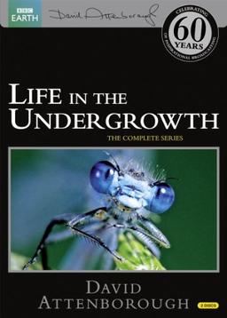 Life in the Undergrowth (Repackaged) [2 DVDs] [UK Import]