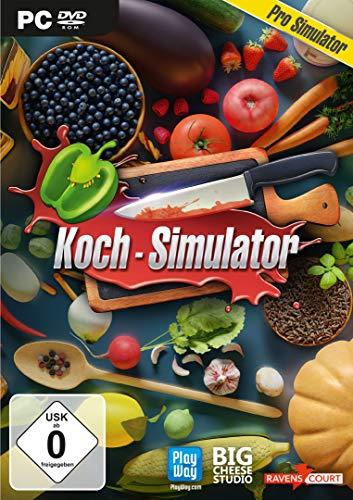 Koch-Simulator (PC) (64-Bit)