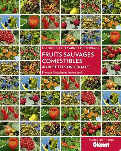 Fruits sauvages comestibles : 40 recettes originales : un guide + un carnet de terrain