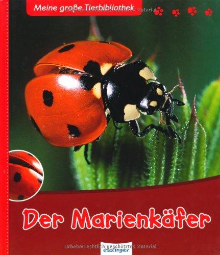 Der Marienkäfer