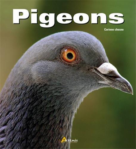 Pigeons