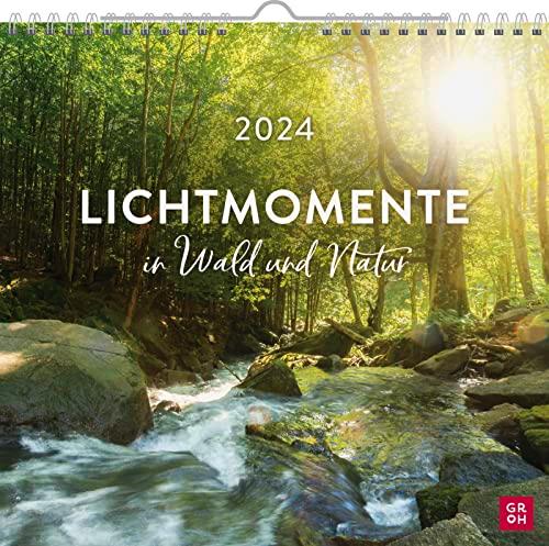 Lichtmomente in Wald und Natur 2024: Wandkalender mit Monatskalendarium