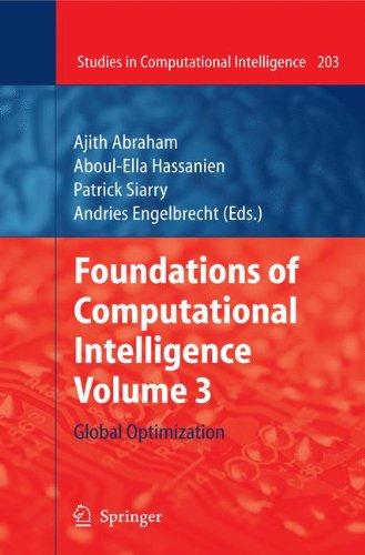 Foundations of Computational Intelligence Volume 3: Global Optimization (Studies in Computational Intelligence)