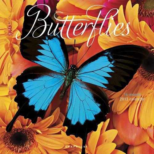 Butterflies 2013 Calendar