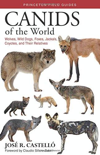 Canids of the World: Wolves, Wild Dogs, Foxes, Jackals, Coyotes, and Their Relatives (Princeton Field Guides, Band 116)