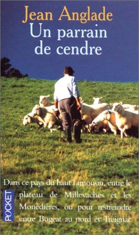 Un Parrain de cendre