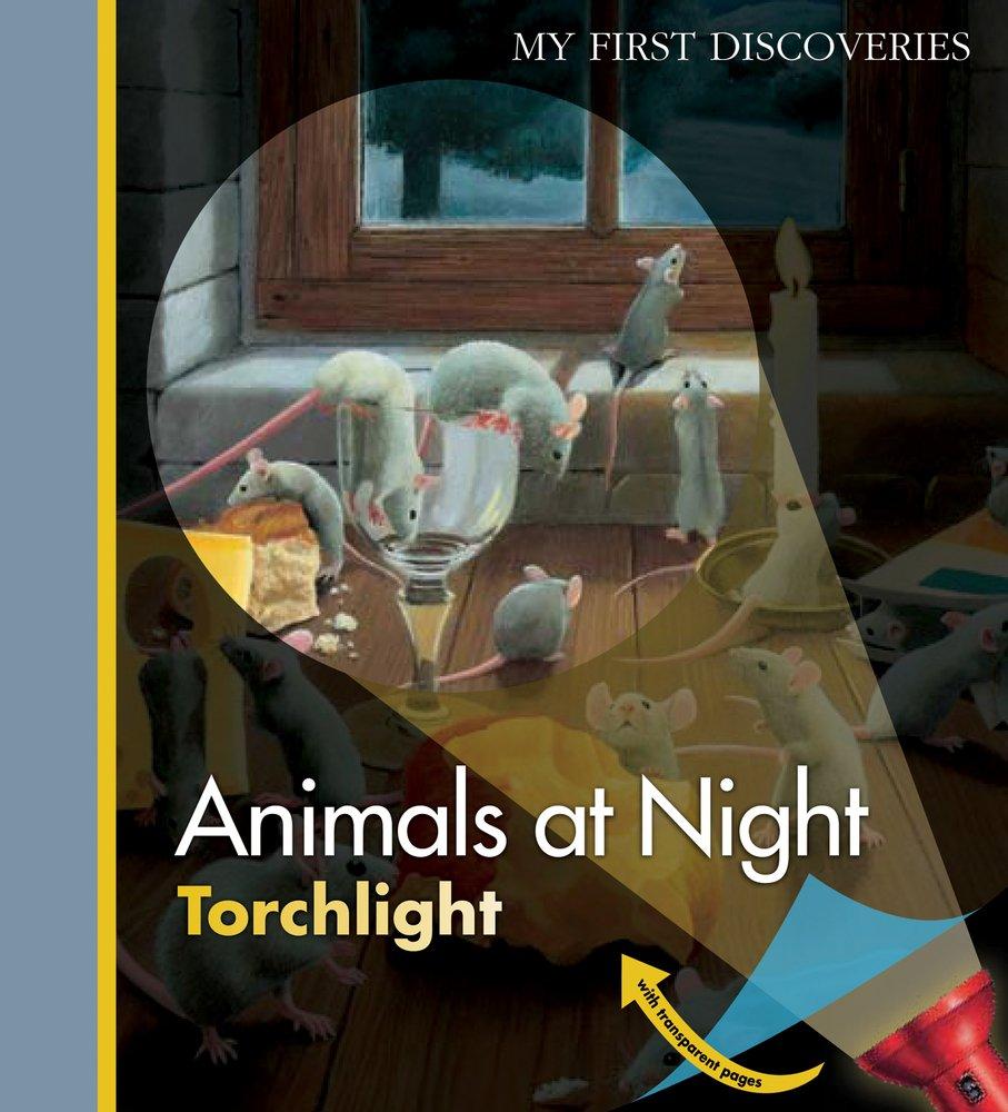 Animals at Night (My First Discoveries)