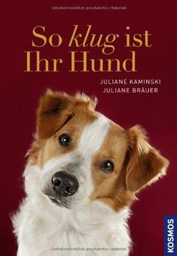 So klug ist Ihr Hund