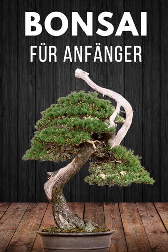 Bonsai für Anfänger: Das Wichtigste zur Bonsai-Pflege