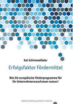 Erfolgsfaktor Fördermittel: Wie Sie europäische Förderprogramme für Ihr Unternehmenswachstum nutzen!