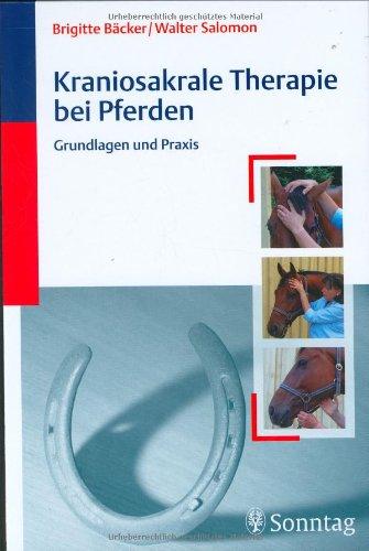 Kraniosakrale Therapie bei Pferden: Grundlagen und Praxis