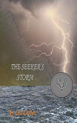 The Seeker's Storm (Silver Sagas, Band 6)