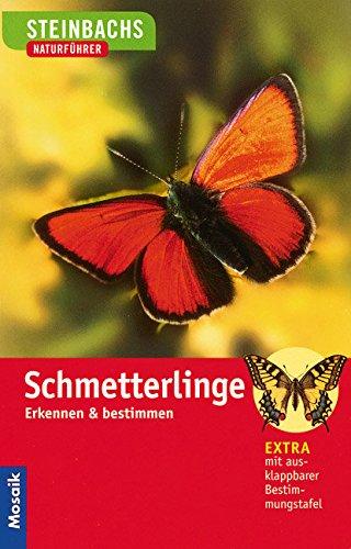 Schmetterlinge: Erkennen und bestimmen