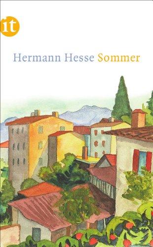 Sommer (insel taschenbuch)