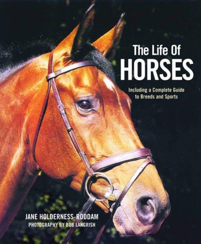 The Life of Horses