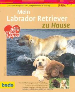 Labrador Retriever, zu Hause: Ein bede-Ratgeber zur artgerechten Haltung