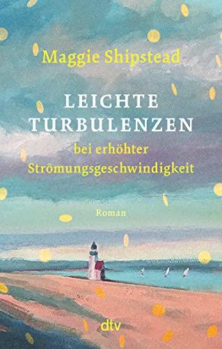 Leichte Turbulenzen bei erhöhter Strömungsgeschwindigkeit: Neuausgabe