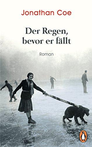 Der Regen, bevor er fällt: Roman