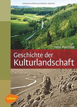 Geschichte der Kulturlandschaft: Entstehungsursachen und Steuerungsfaktoren der Entwicklung der Kulturlandschaft, Lebensraum- und Artenvielfalt in Mitteleuropa