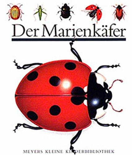 Der Marienkäfer