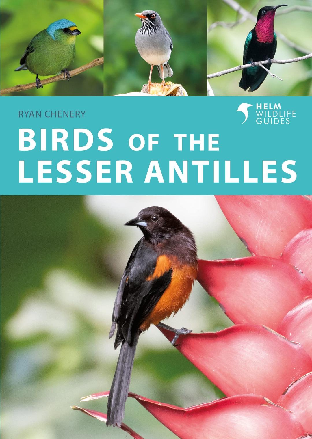 Birds of the Lesser Antilles: A Photographic Guide (Helm Wildlife Guides)