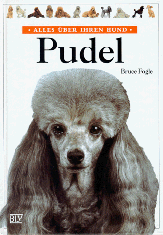 Pudel