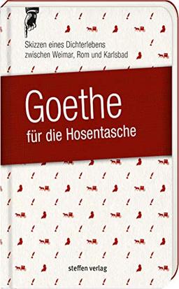 Goethe für die Hosentasche: Skizzen eines Dichterlebens zwischen Weimar, Rom und Karlsbad